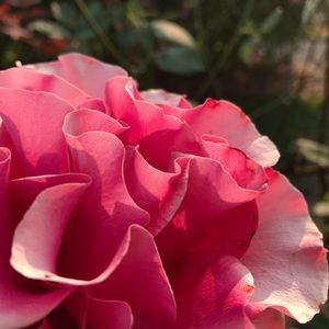 Meet your Posher, Katy